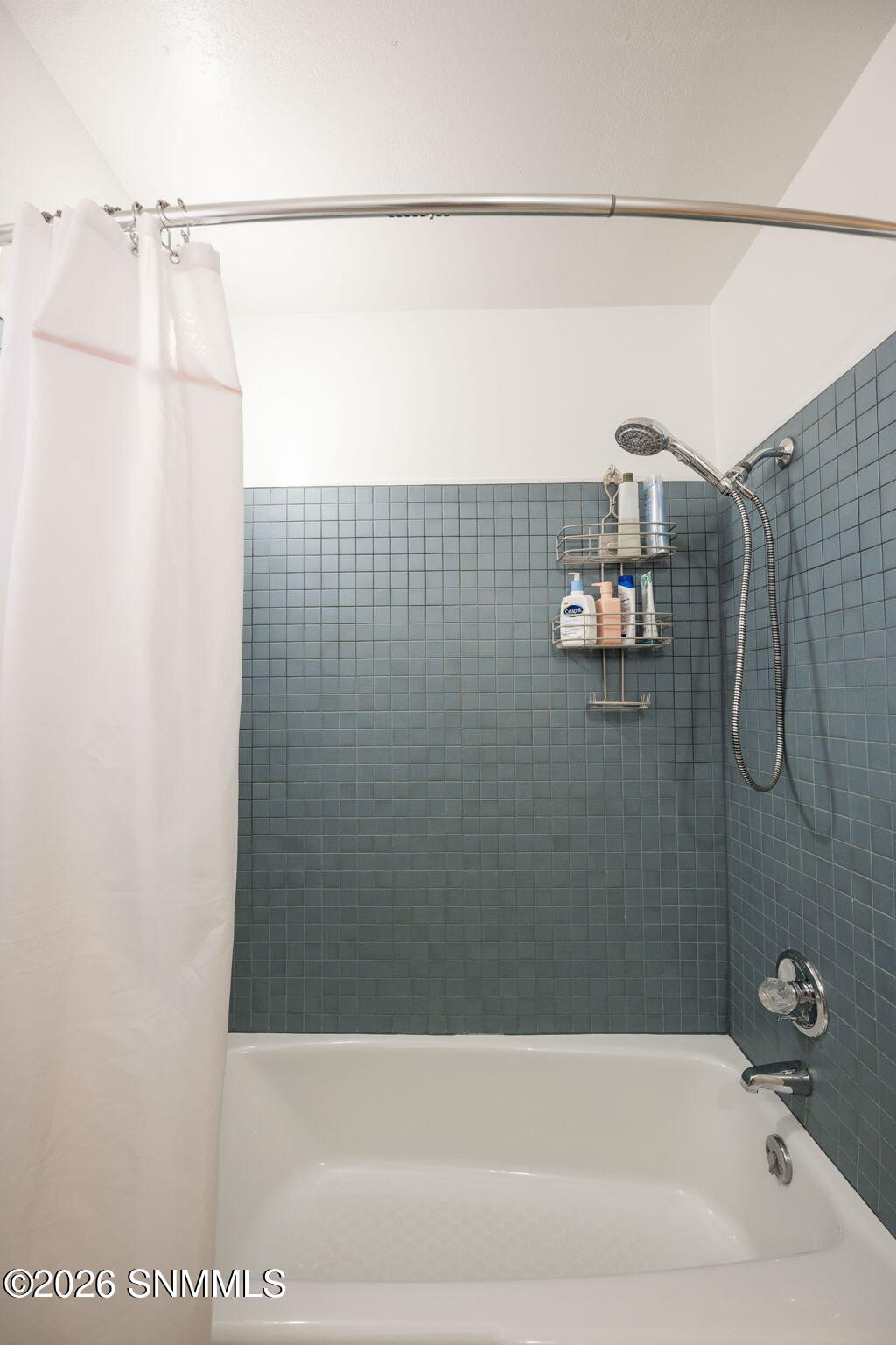 26-web-or-mls-Snappin Homes (Horseshoe14