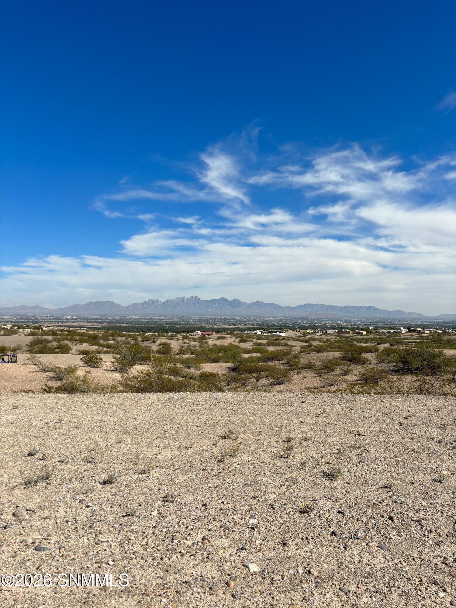 Lot 59