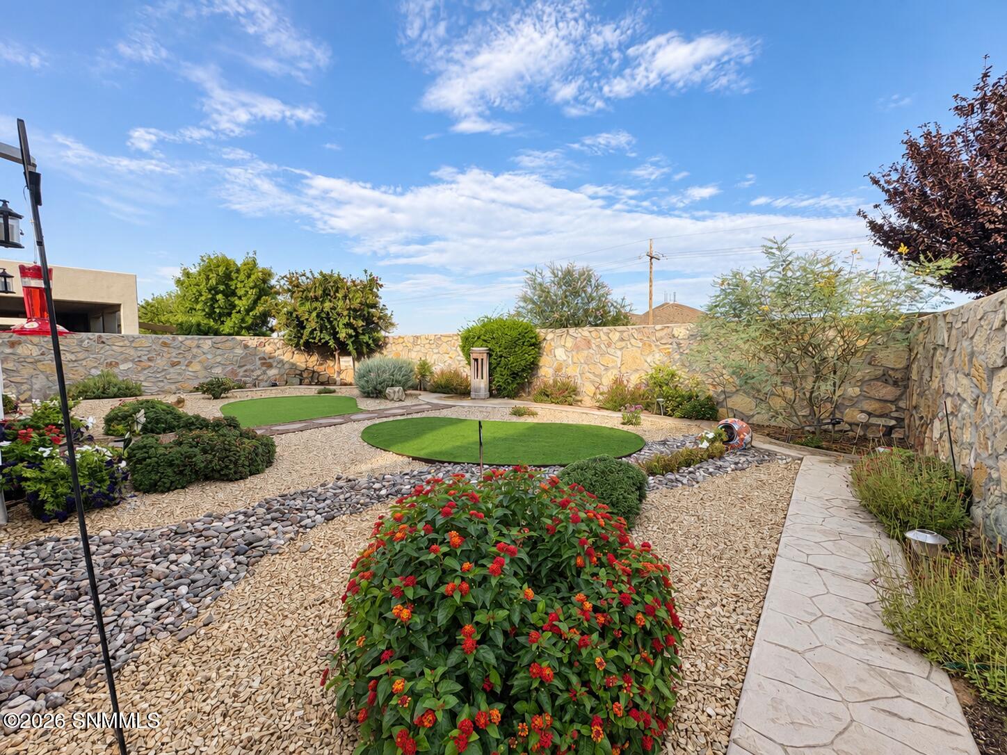 Back yard