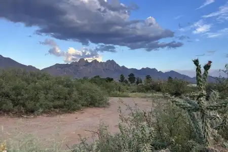 9200 Higgins Lane, Las Cruces, New Mexico 88011, ,Land,For Sale,Higgins,2602897