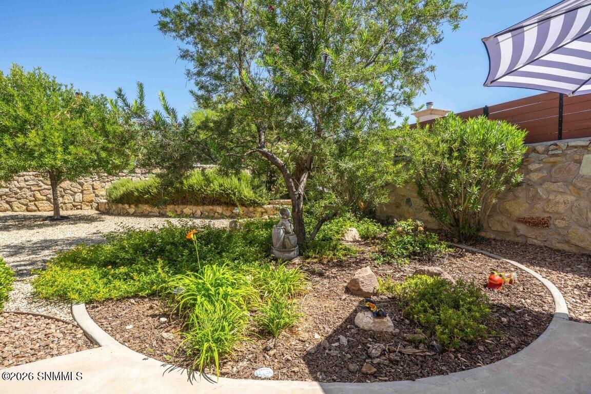 46-web-or-mls-Snappin Homes (CalleDeNube