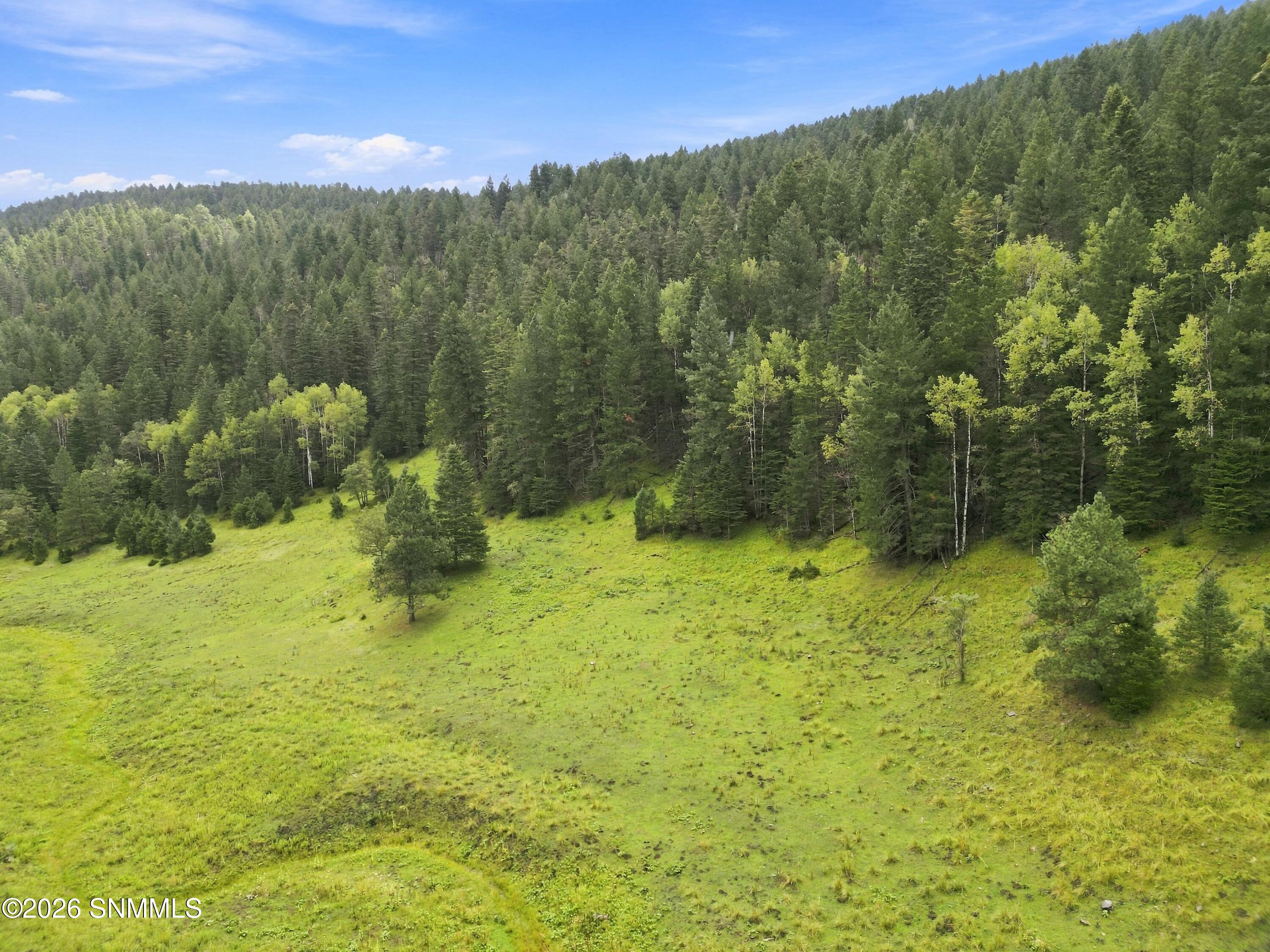 DJI_0880