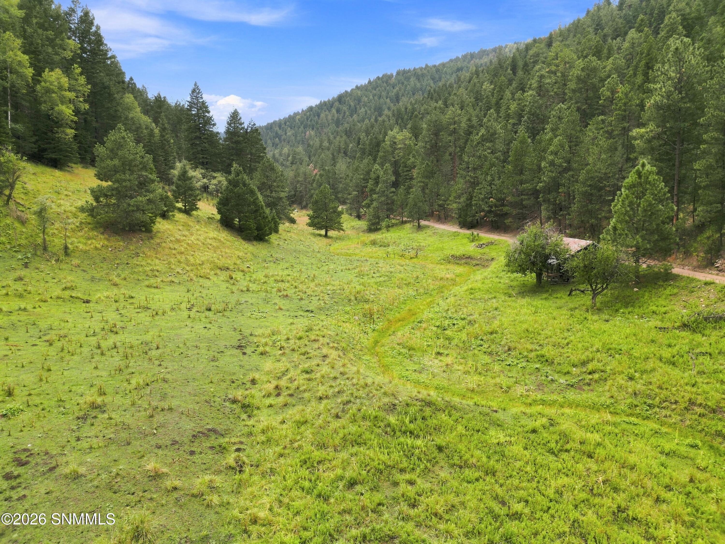 DJI_0894_autoremove_58408218