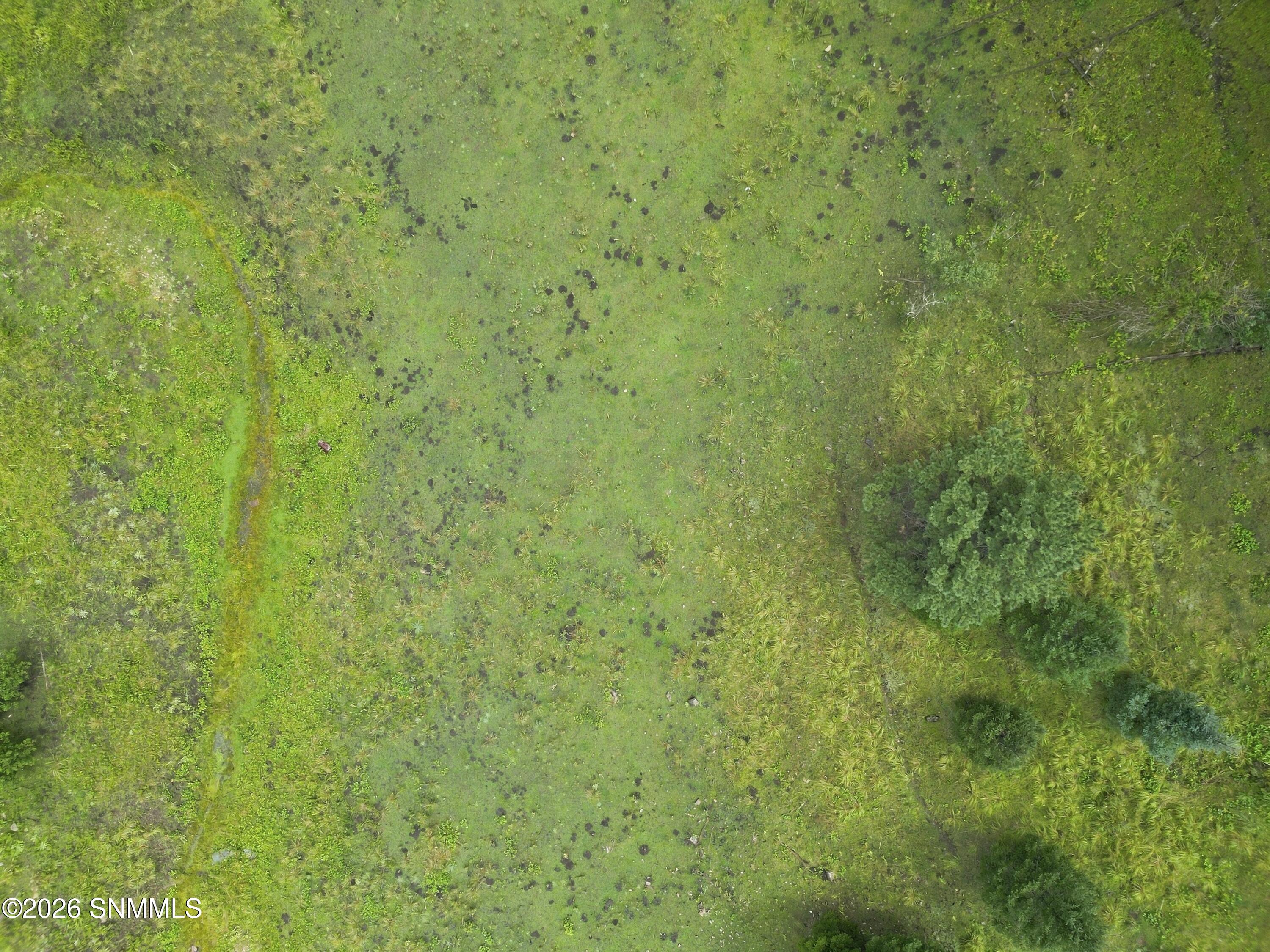 DJI_0887