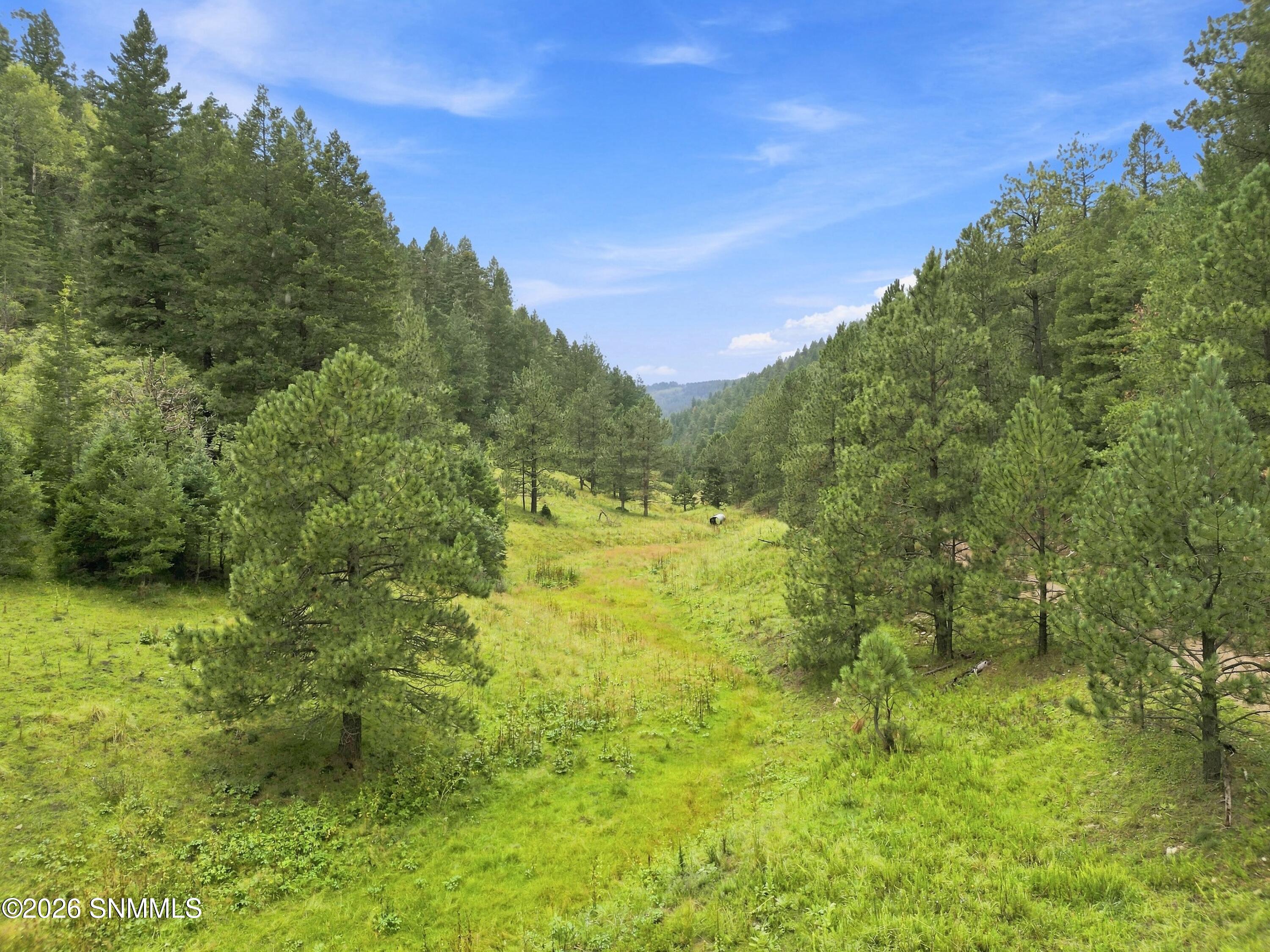 DJI_0915