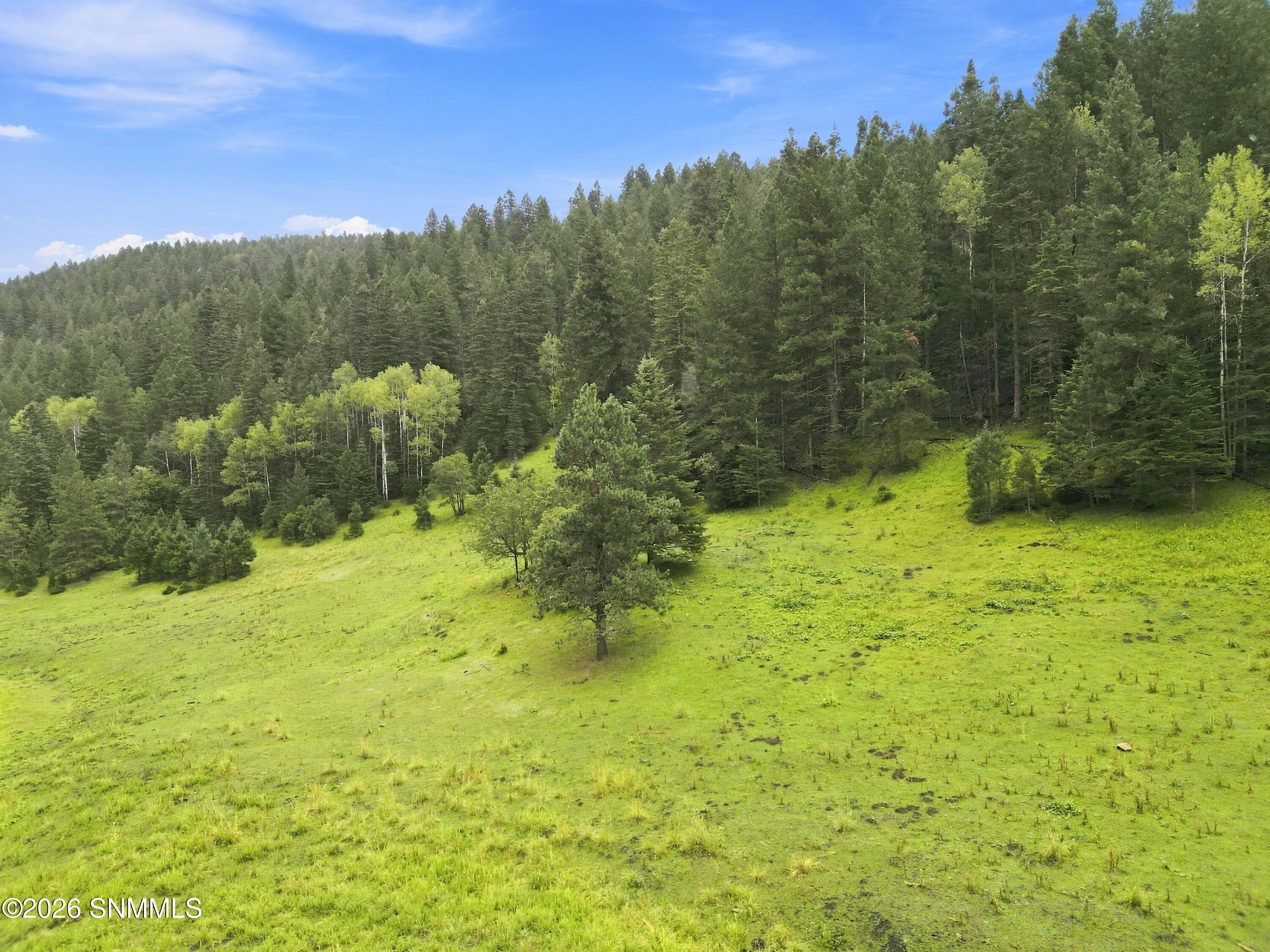 DJI_0918