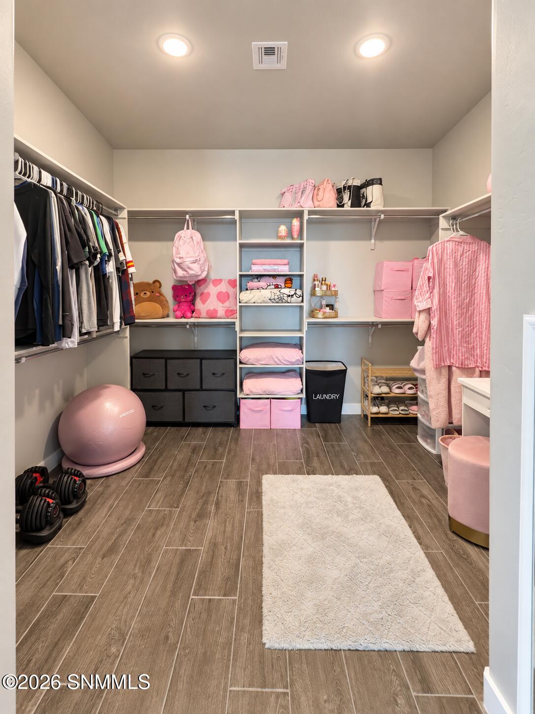 Jericho Primary Closet 1
