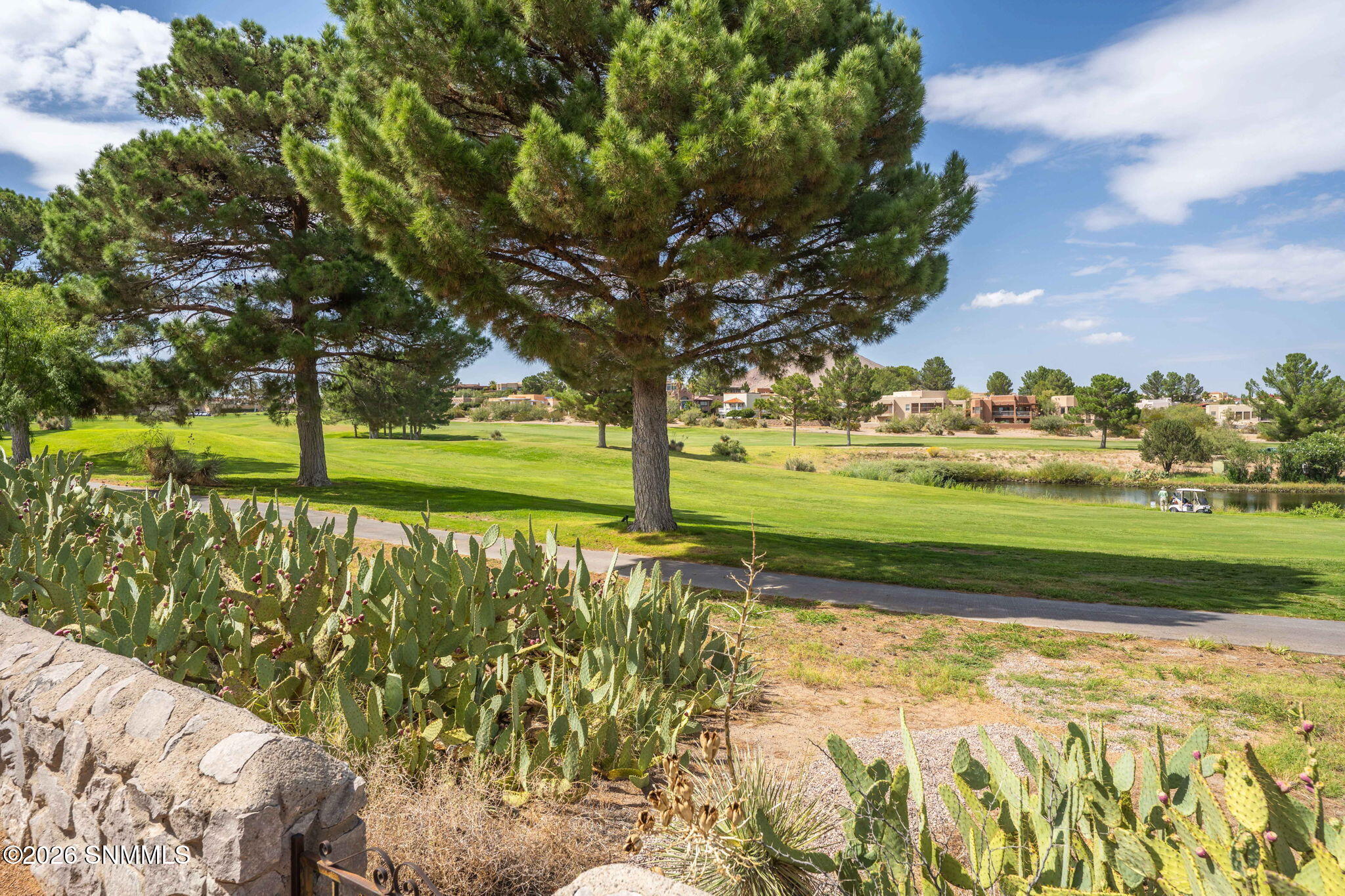 45-web-or-mls-Snappin Homes (CaminoBlanc