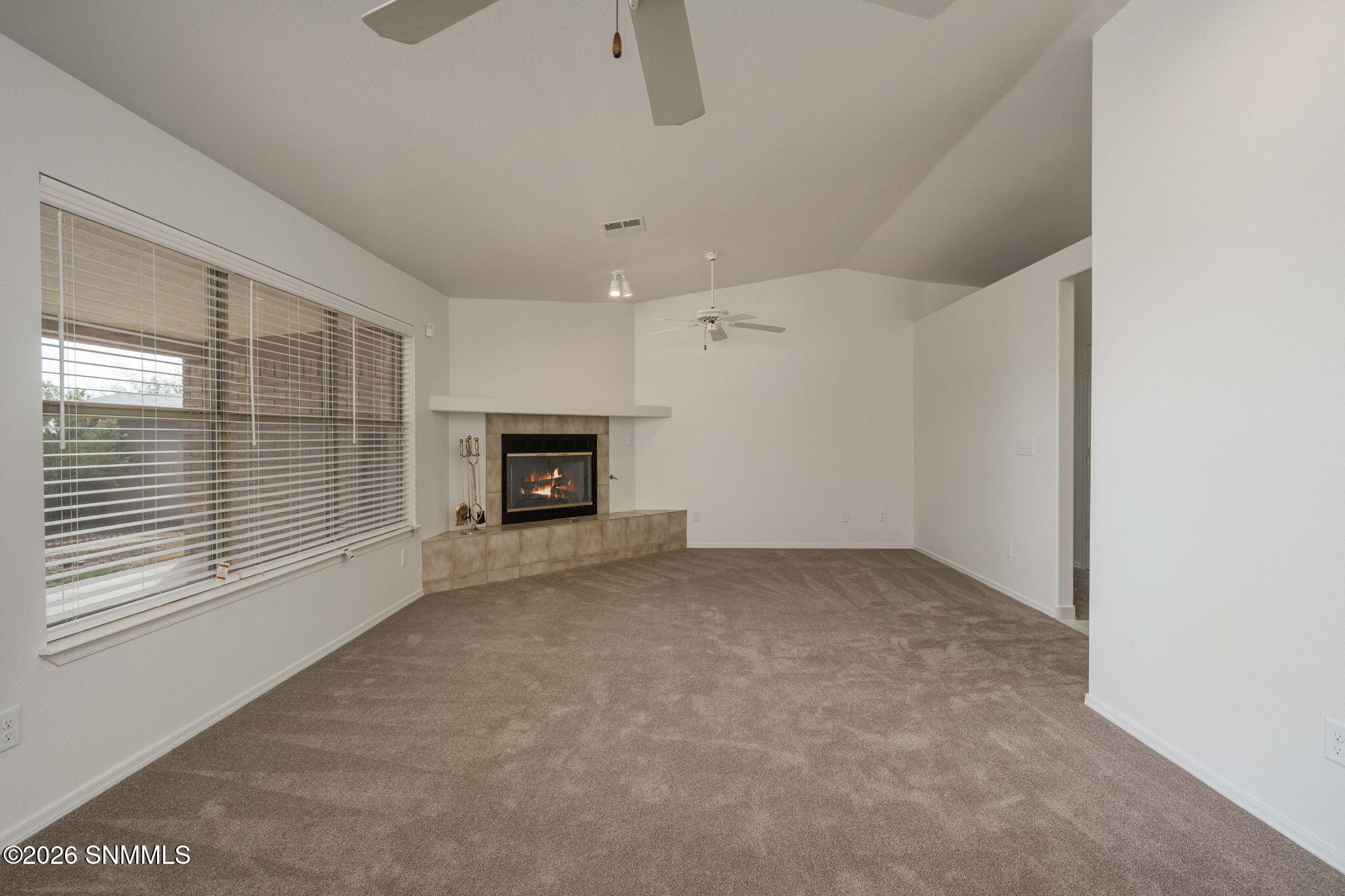 6-web-or-mls-Snappin Homes (Fran1032)-6