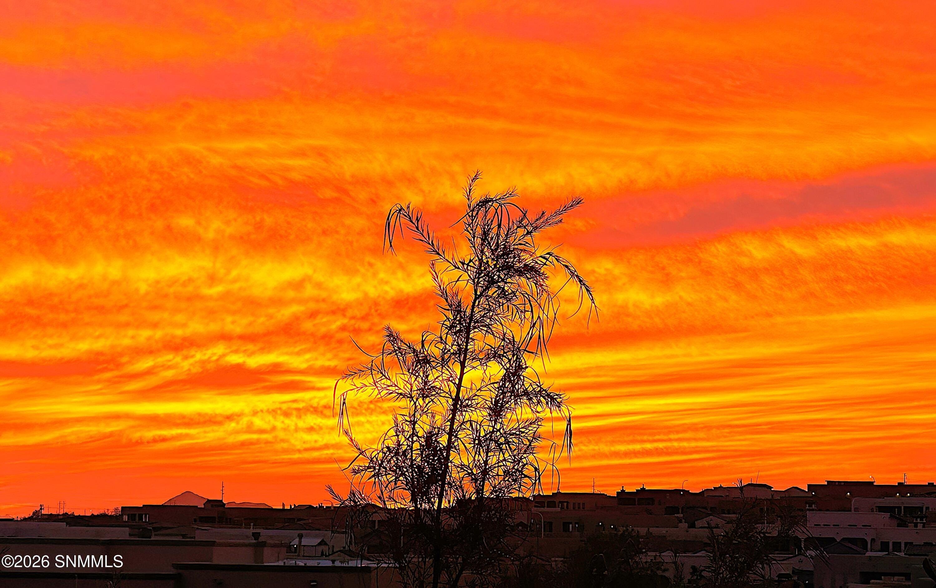 sunset