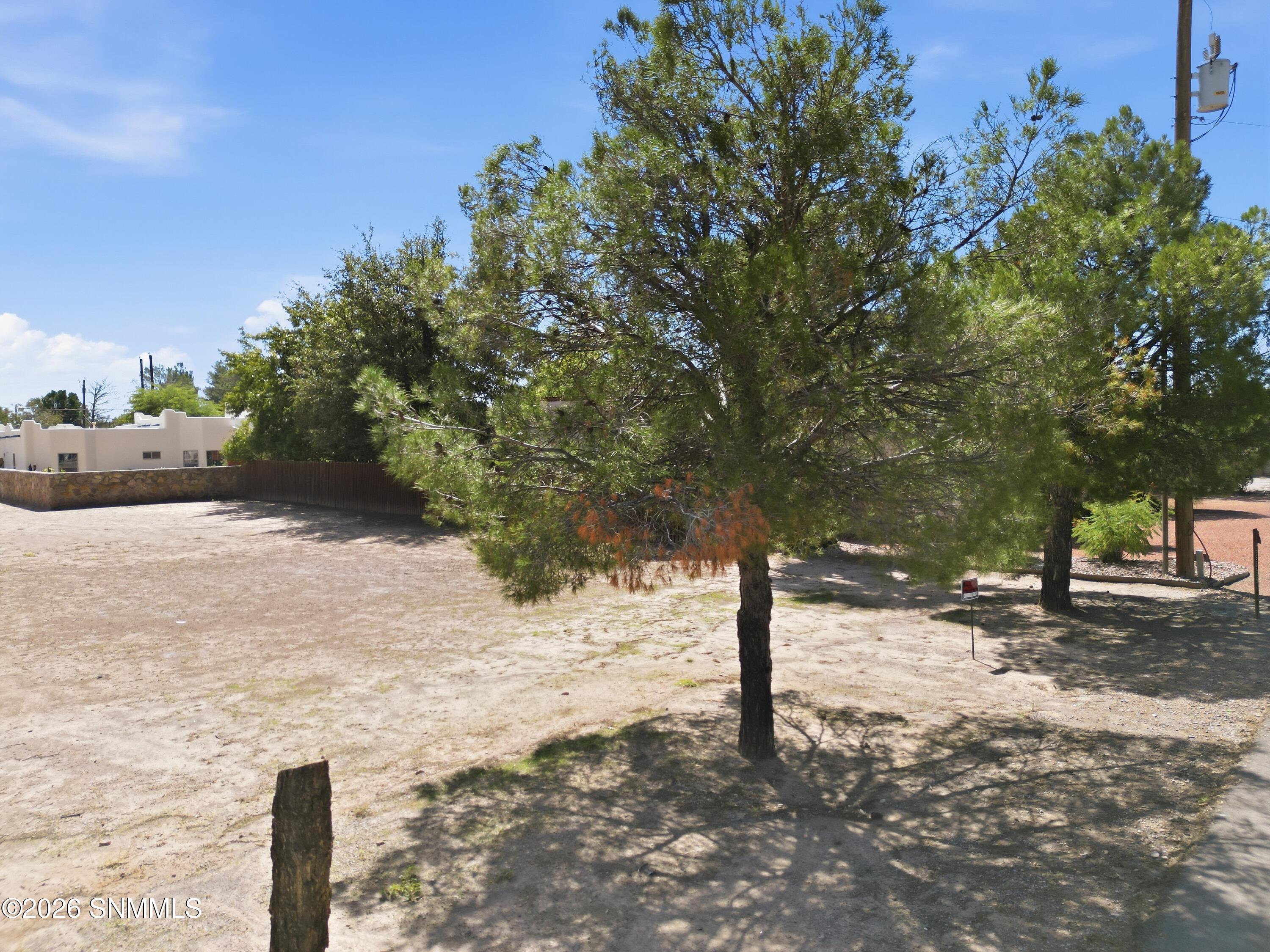 Cactus_Keys_Group_010