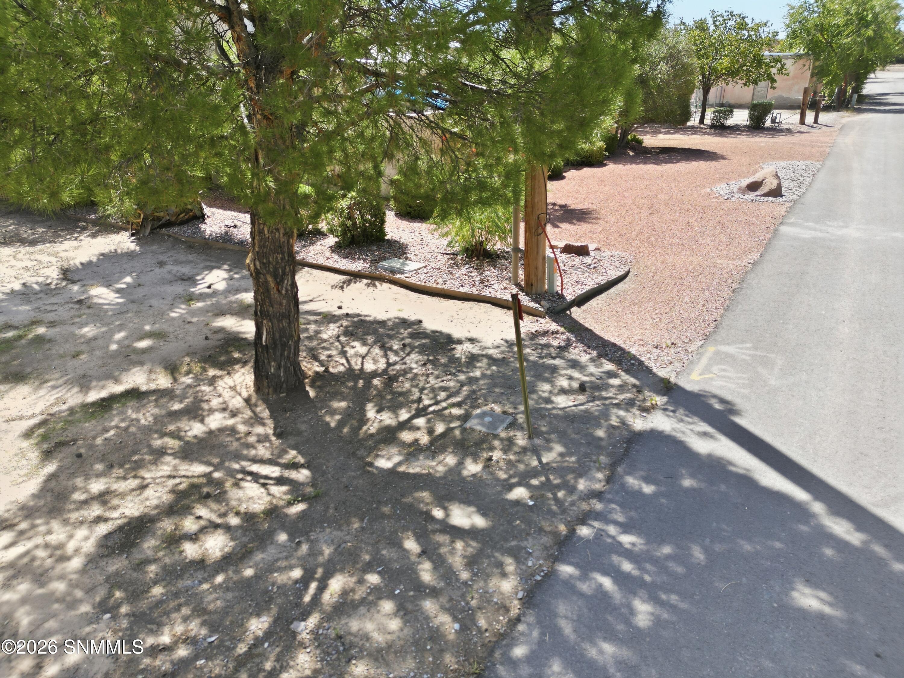 Cactus_Keys_Group_011
