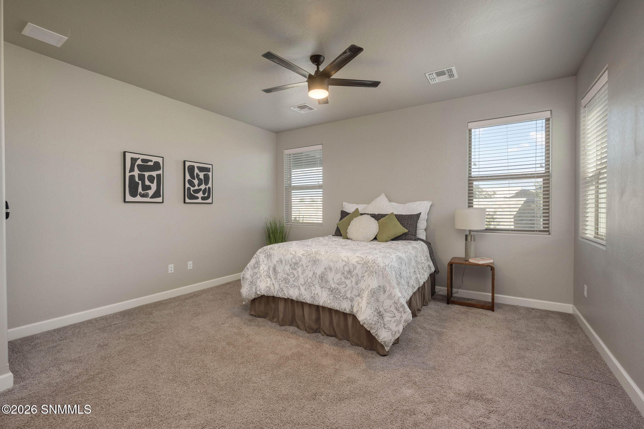 19-web-or-mls-Snappin Homes (Blackbird65