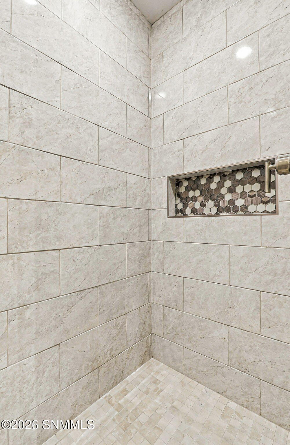 Primary Walk-in Shower