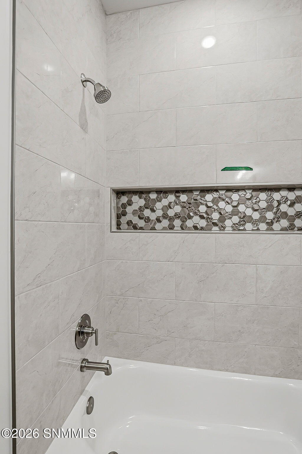 Guest Tub/shower