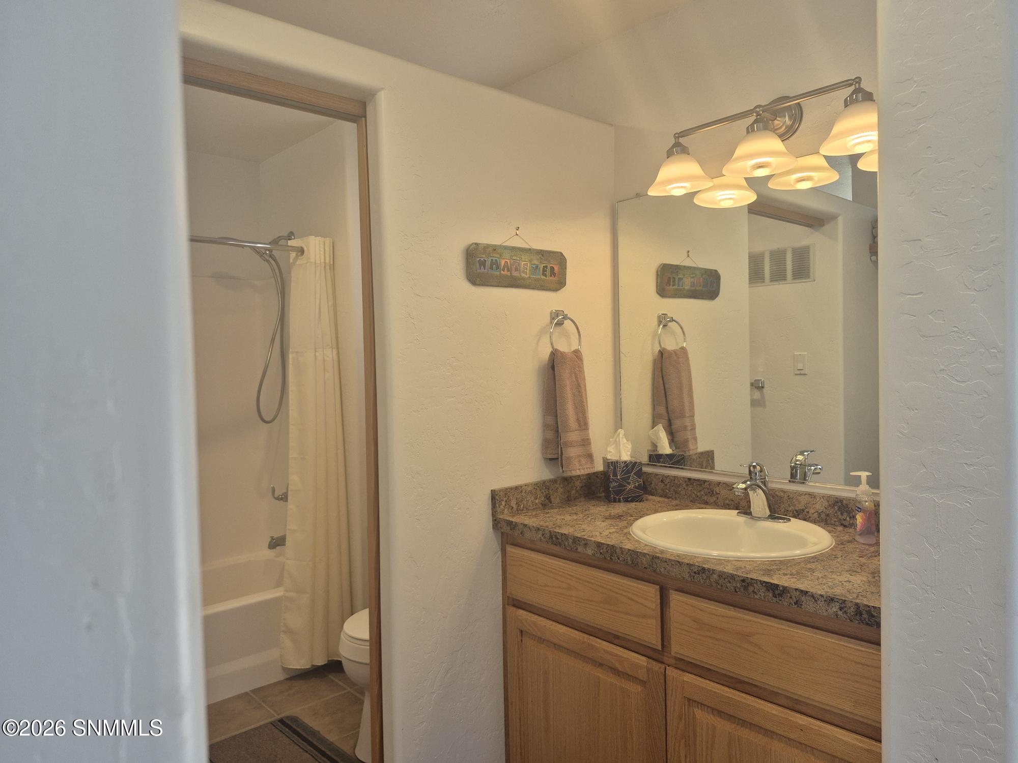 vanity tub shower toilet 3