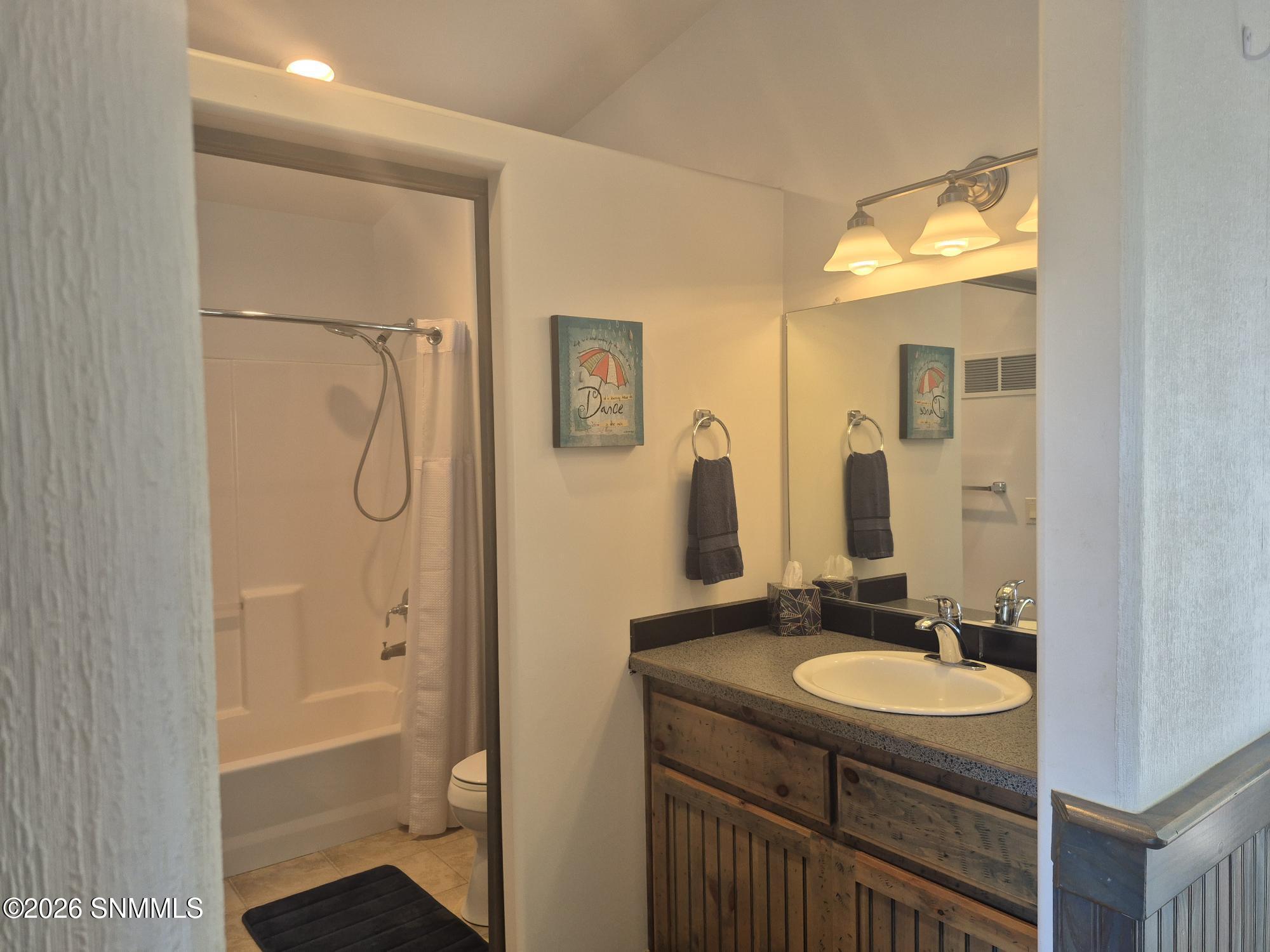 vanity tub shower toilet 2