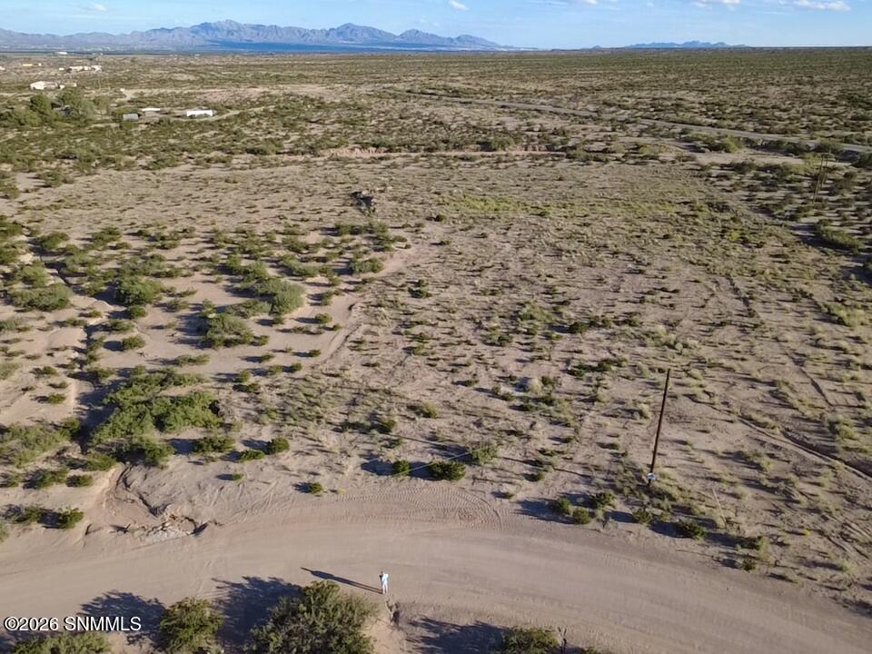 IMG.11