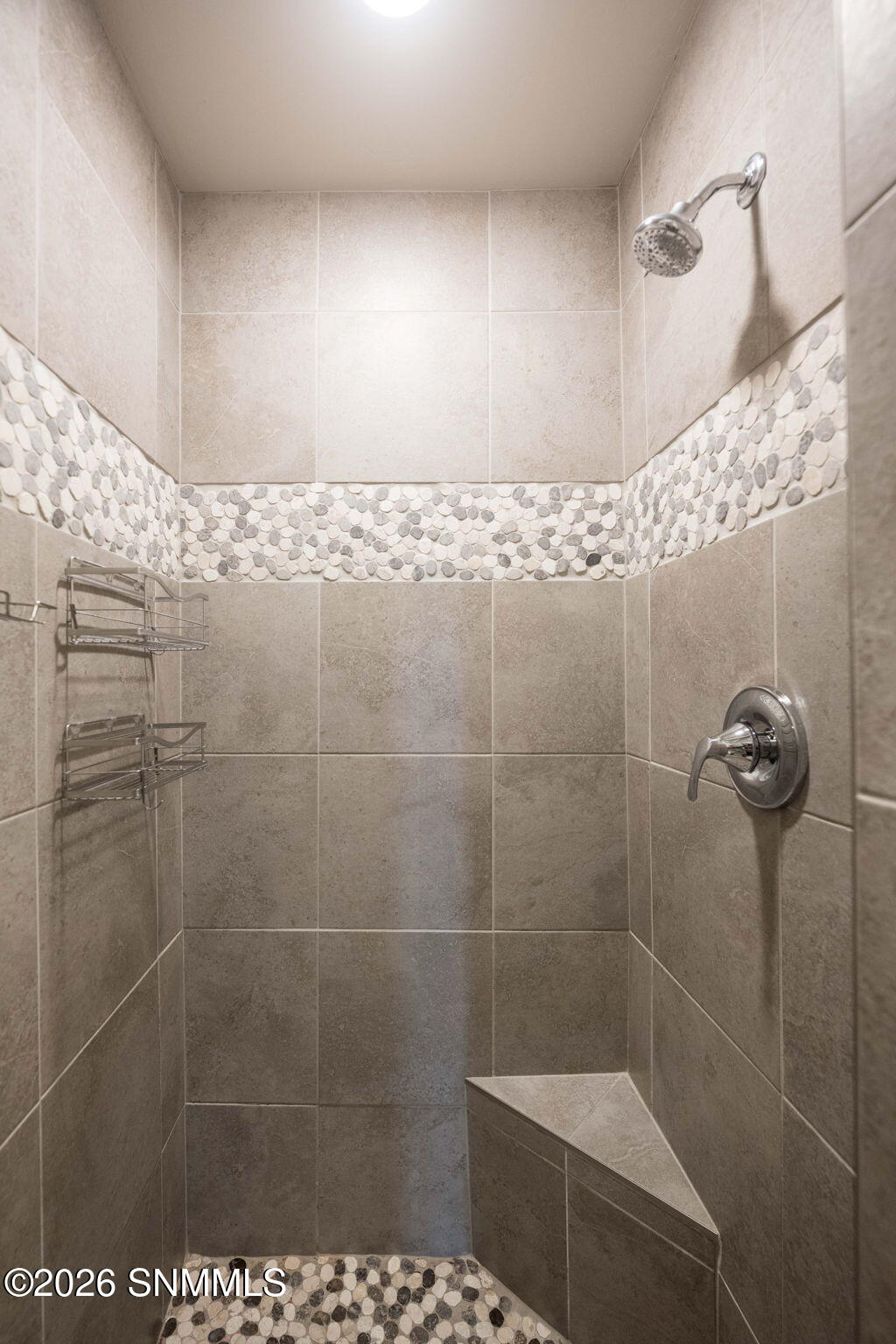 Primary Shower