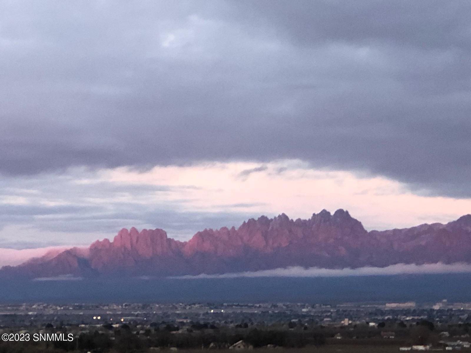 Organ Mountains View