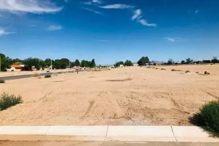 711 Hendee Place, Las Cruces, New Mexico 88005, ,Land,For Sale,Hendee,2301603