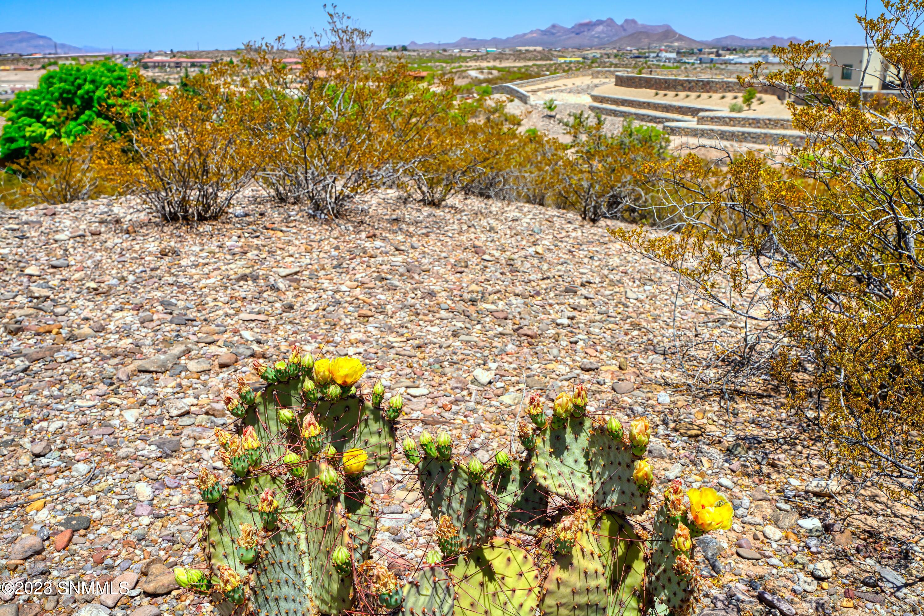 Dona Ana Mtns