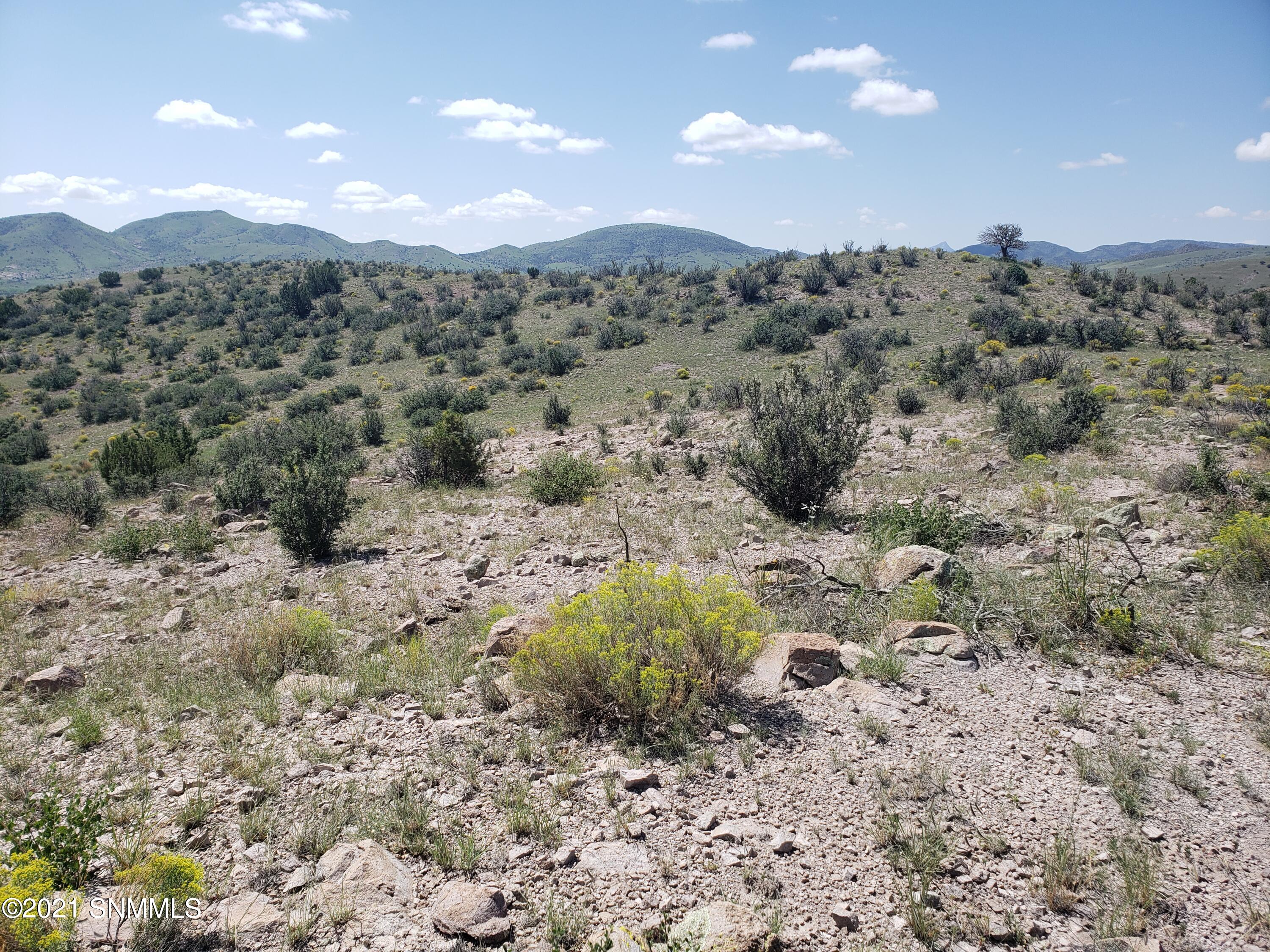 Berrenda Creek Ranch II