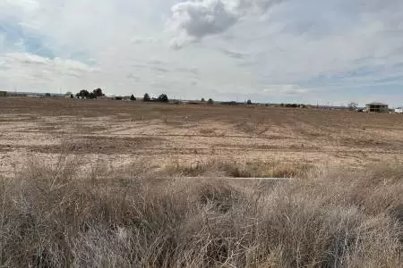 3480 Opitz Road, Anthony, New Mexico 88021, ,Land,For Sale,Opitz,2301585