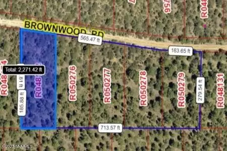 60 Brownwood Road, Timberon, New Mexico 88350, ,Land,For Sale,Brownwood,2303210