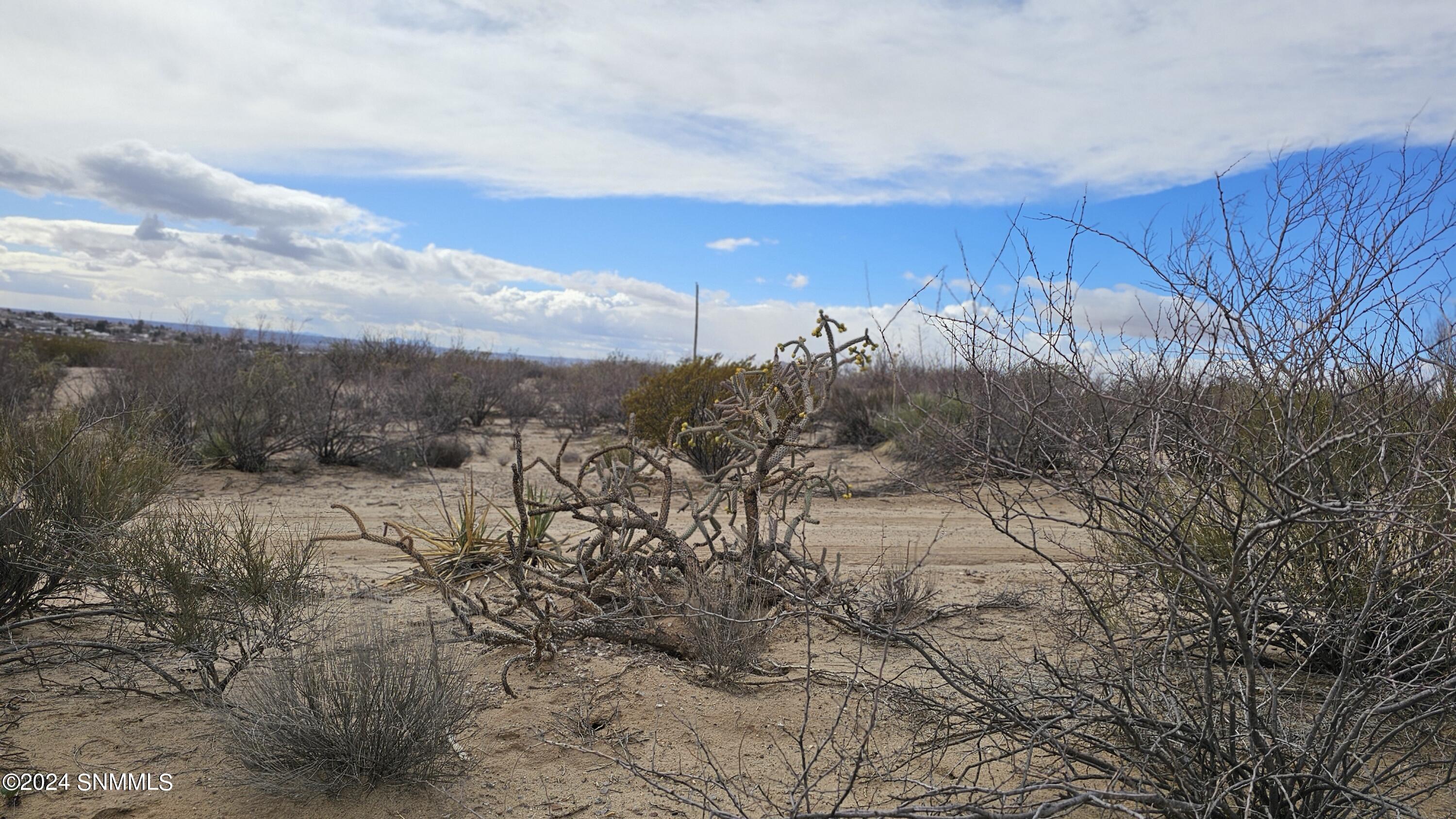 El Paso Electric pole to the West