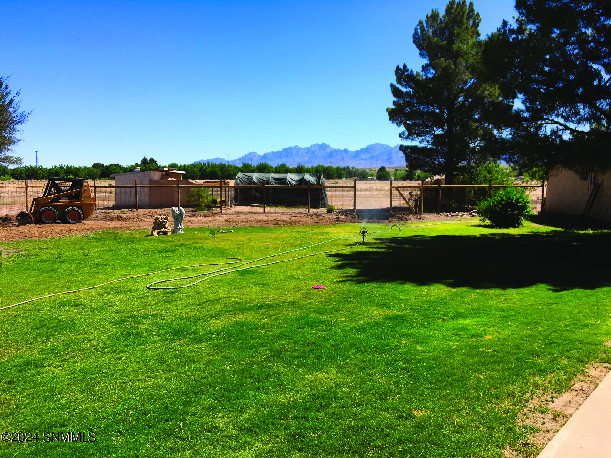 Backyard view