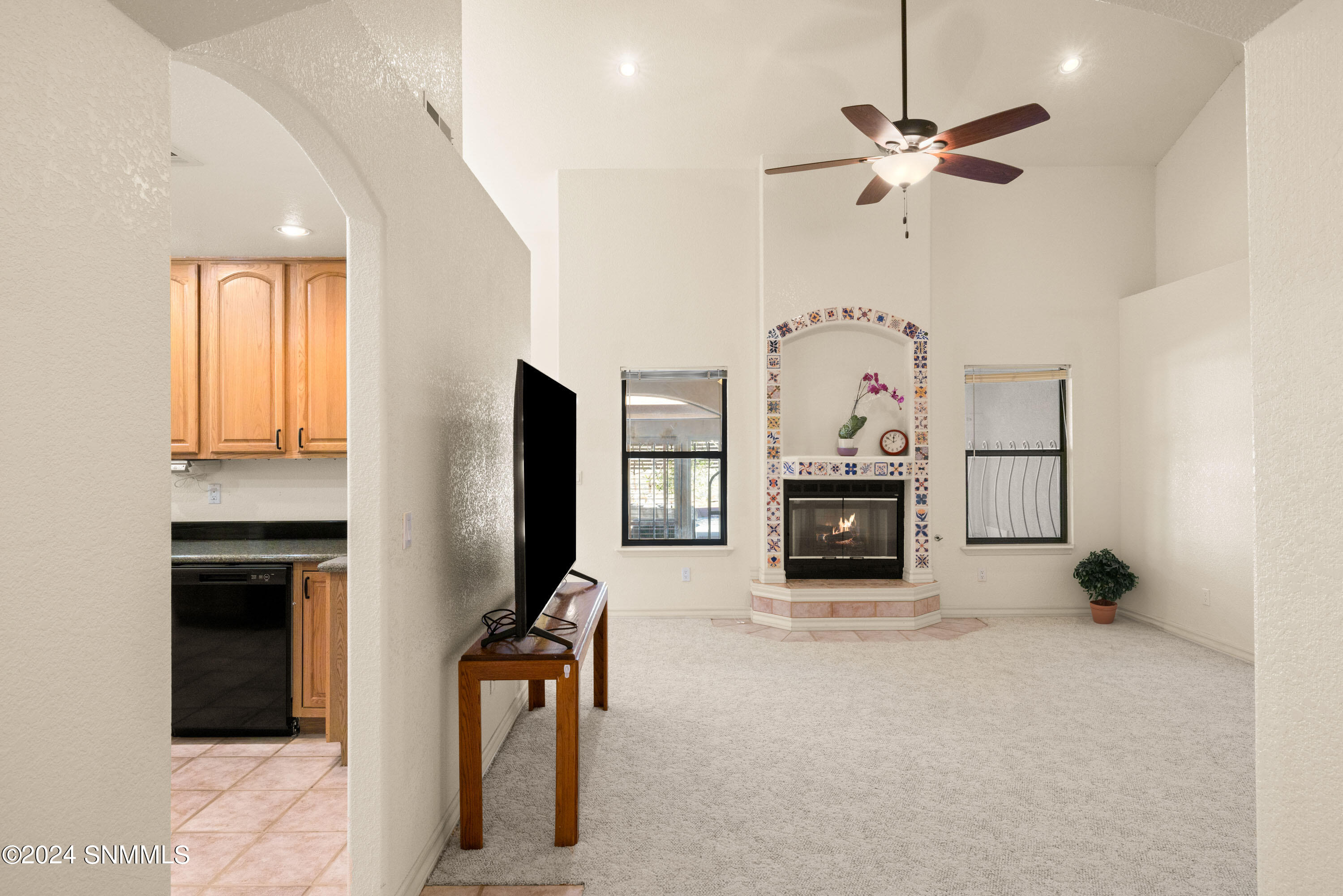 Living Room and Fireplace