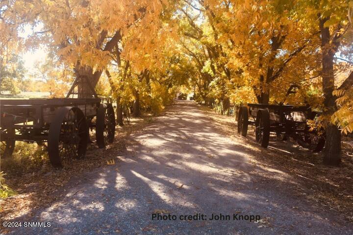 Fall photo John Knopp (Small)