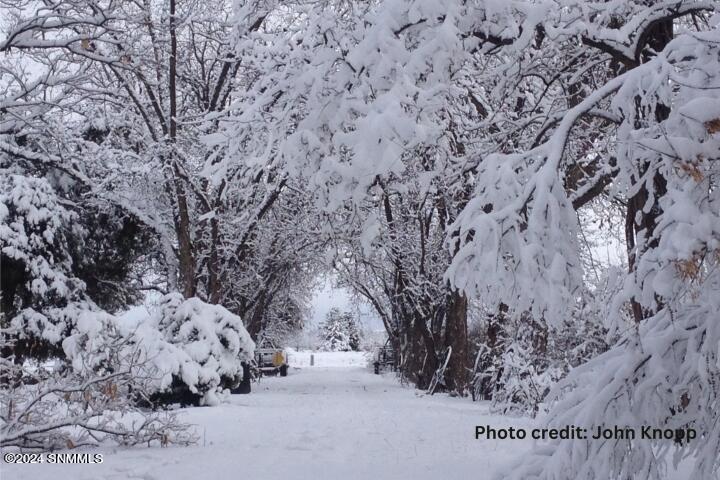 Snow photo John Knopp (Small)