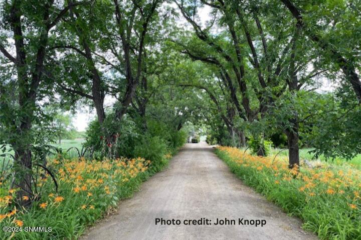 Spring photo John Knopp (Small)