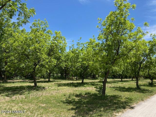 Pecans