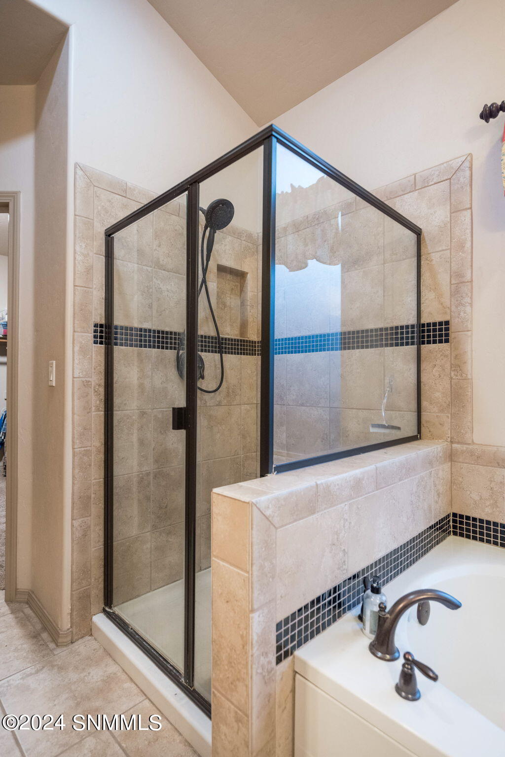 Shower Stall & Separate Tub