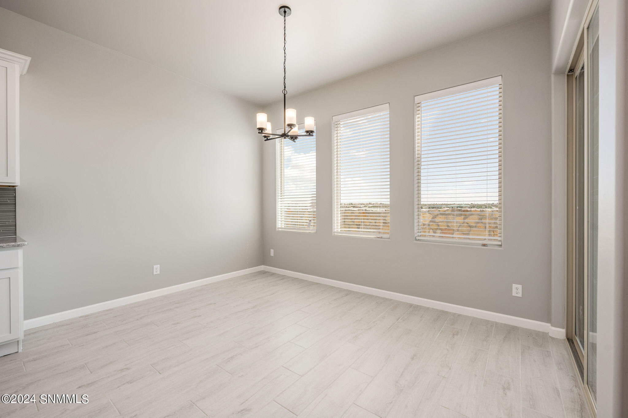 17-web-or-mls-Meadow Sage 4106-17